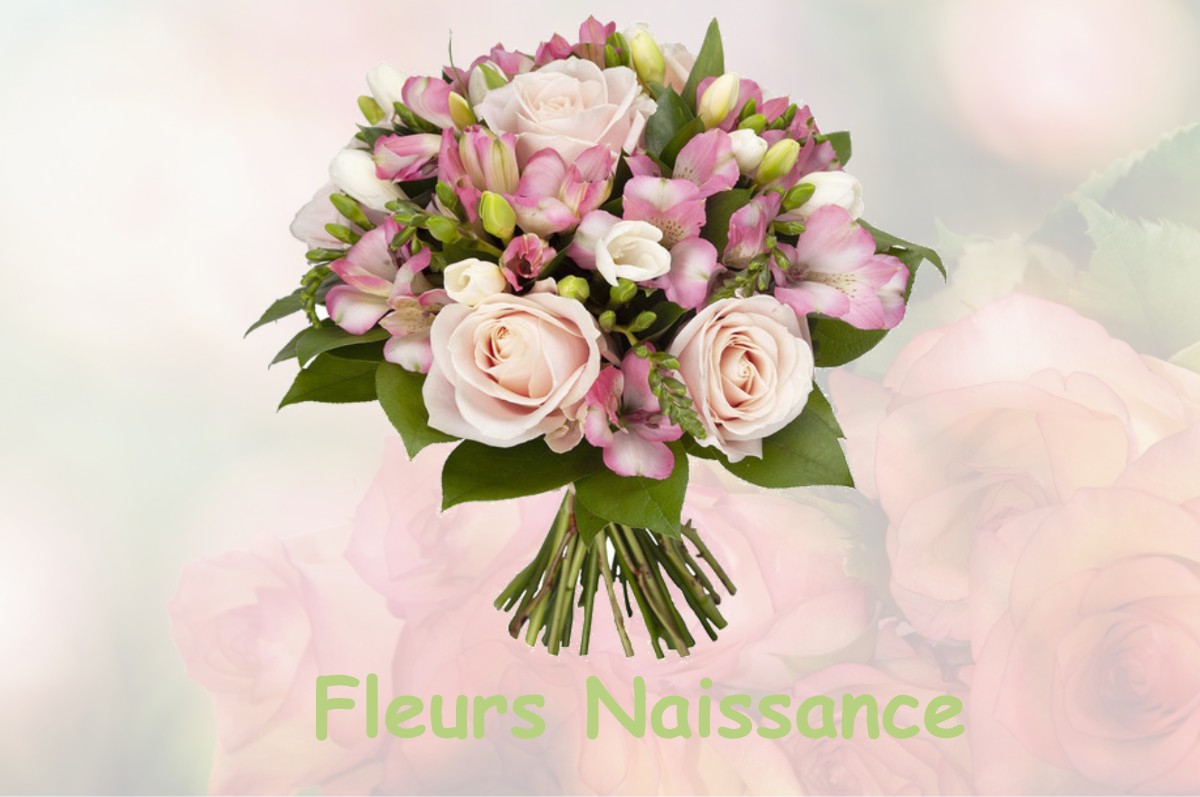 fleurs naissance SAINT-DENIS-LA-CHEVASSE